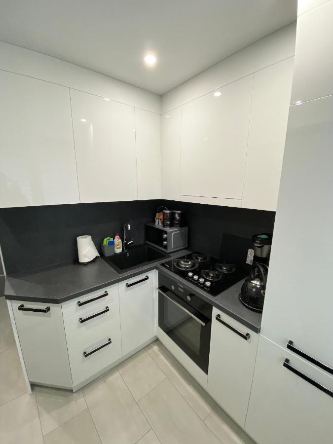 Studio Flat In Panevezys Bagian luar foto