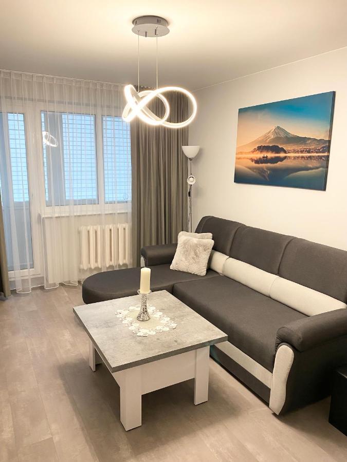 Studio Flat In Panevezys Bagian luar foto